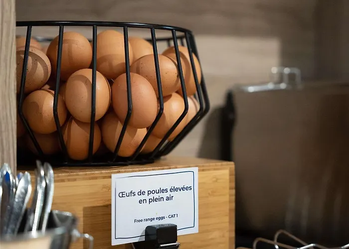 Novotel Centre Gare Otel